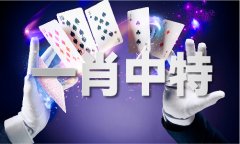 一码到底什么意义 - 一码到底什么意义老版下载